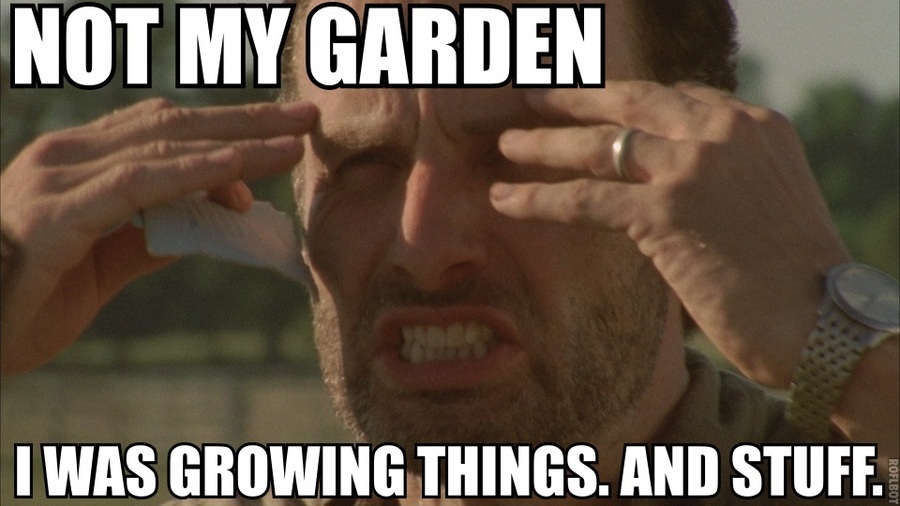 85248-Rick-Grimes-meme-not-my-garden-HG6E
