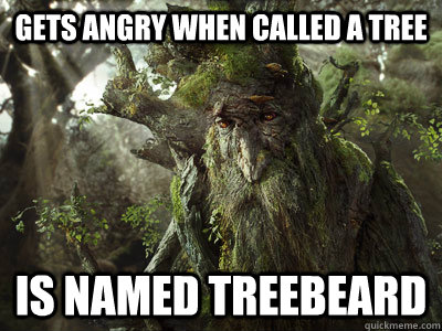 Treebeard. He's not a tree, he's an Ent, don't you know.