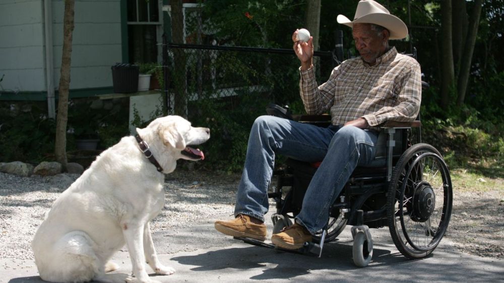 Monte and his new friend Spot