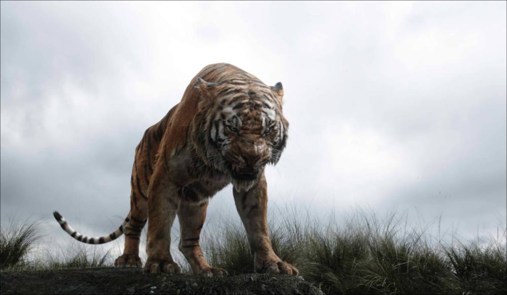 Idris Elba as Shere Khan.